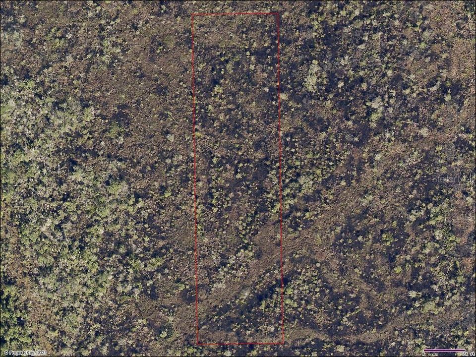 Недавно продано: $9,000 (2.50 acres)