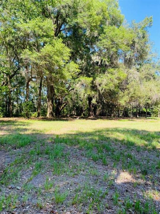 For Sale: $159,000 (5.12 acres)