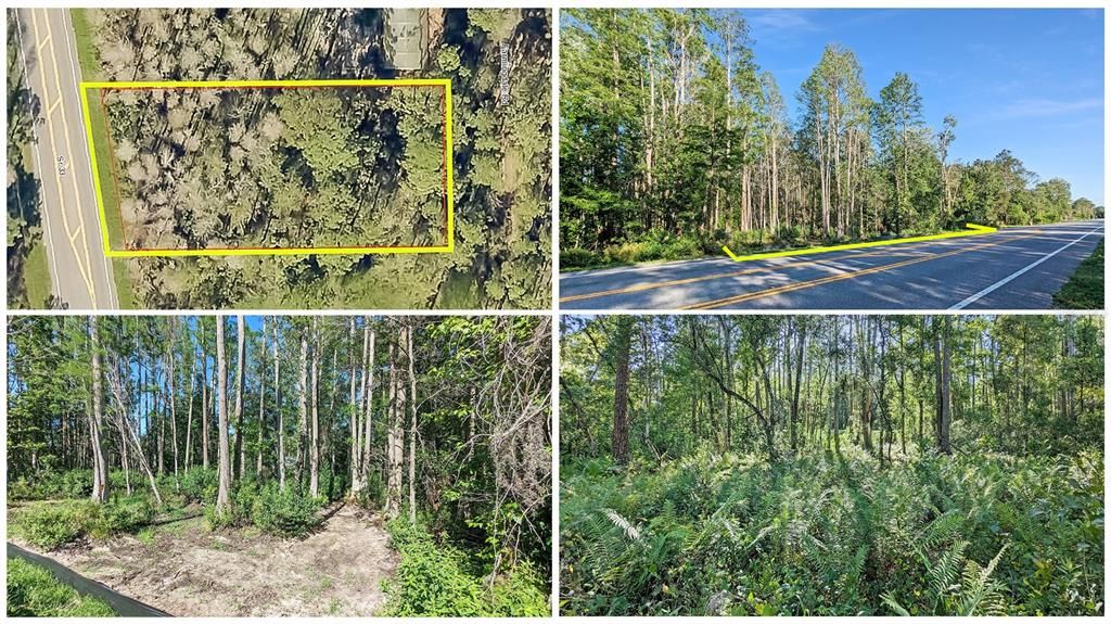 Enjoy Your Vision of Country-Living by Building your DREAM HOME Here on this Affordable, Residential HALF-ACRE of VACANT LAND perfect for either a Single Family or a MOBILE HOME! HOLY COW!