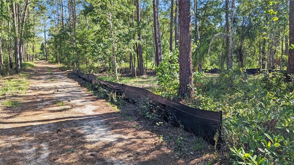 This is the REAR of your Land accessed thru a Private Road, Looking South; The front SR 33 is 1/2 acre away to your right out of the picture. Your home would go about 100 feet to the right also out of the picture.