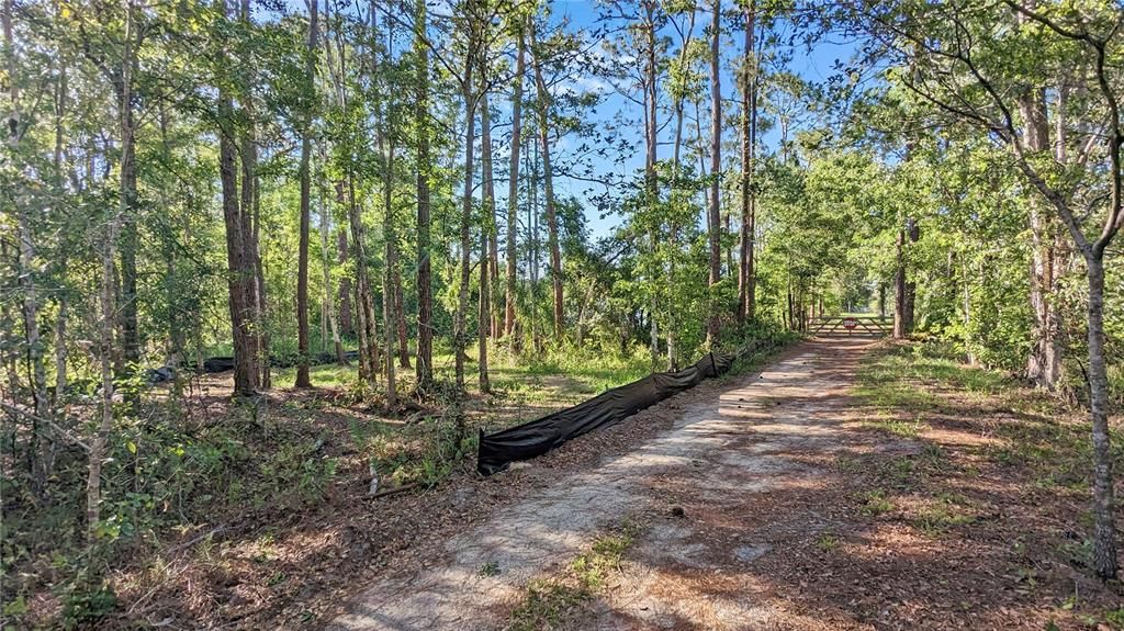 This is the REAR of your Land accessed thru a Private Road, Looking North with the entrance to the Private Road behind you; The front SR 33 is 1/2 acre away to your LEFT out of the picture. Your home would go on the far side of the SECOND plastic barrier in this picture on the left.