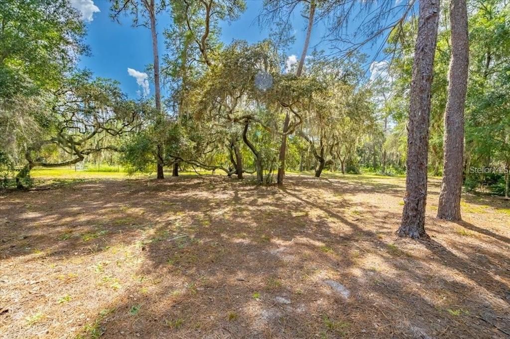 Recently Sold: $700,000 (17.20 acres)