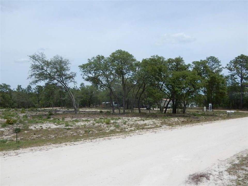 Active With Contract: $29,900 (1.25 acres)