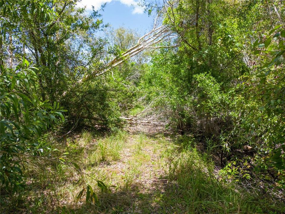 Recently Sold: $20,000 (2.50 acres)