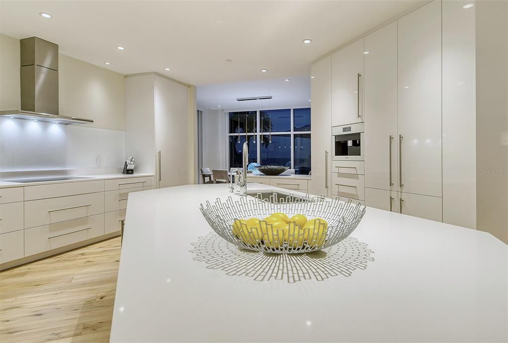 Goumet Kitchen/Dining Area