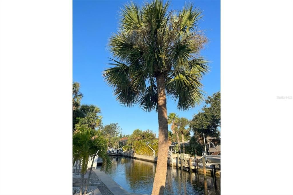 出租: $18,000 (3 贝兹, 2 浴室, 1617 平方英尺)