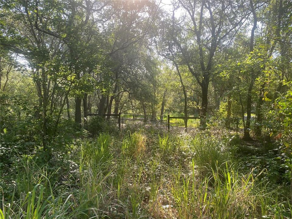 Vendido Recientemente: $360,000 (4.82 acres)