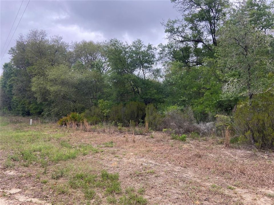 Recently Sold: $18,000 (1.25 acres)