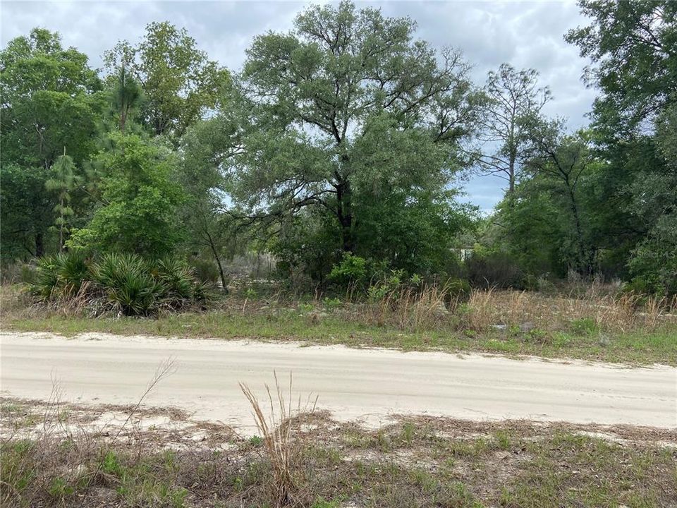 Recently Sold: $18,490 (1.25 acres)