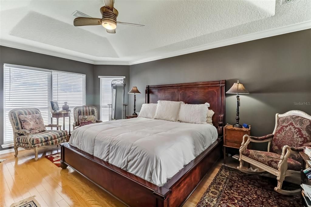 Owner's Bedroom with Tray Ceiling