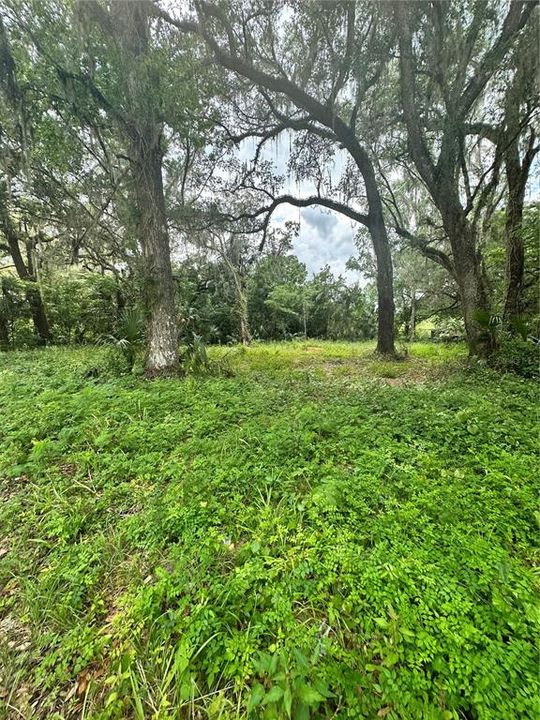 Recently Sold: $18,500 (0.41 acres)