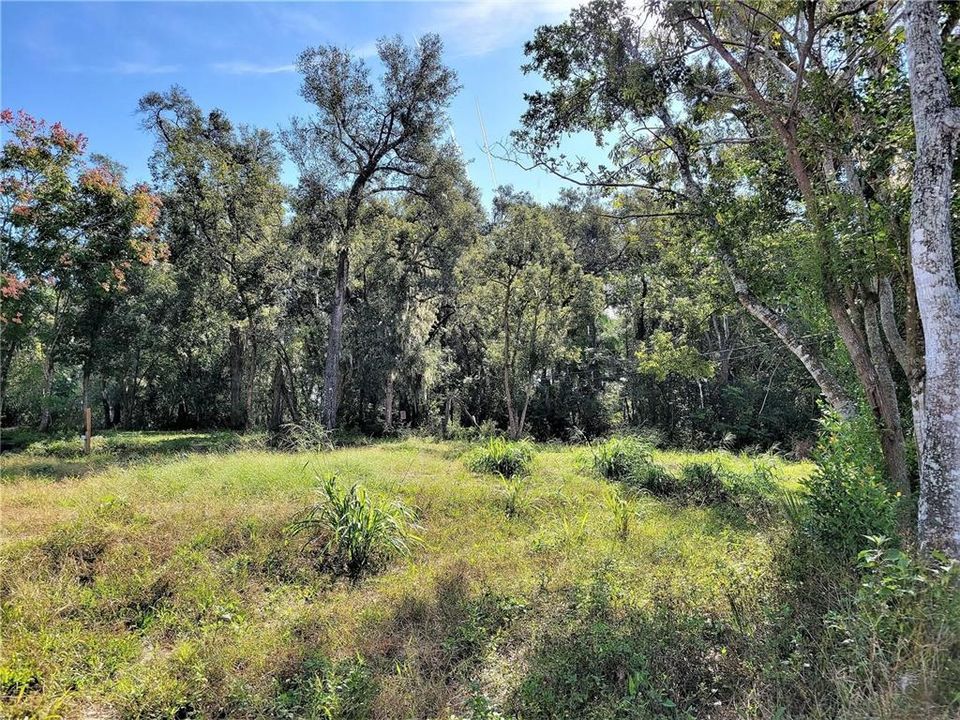 Recently Sold: $44,900 (0.26 acres)