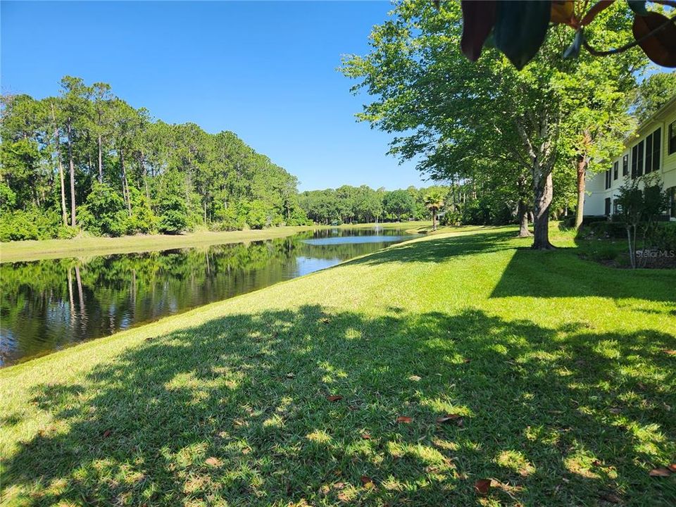 Lake View from Pool