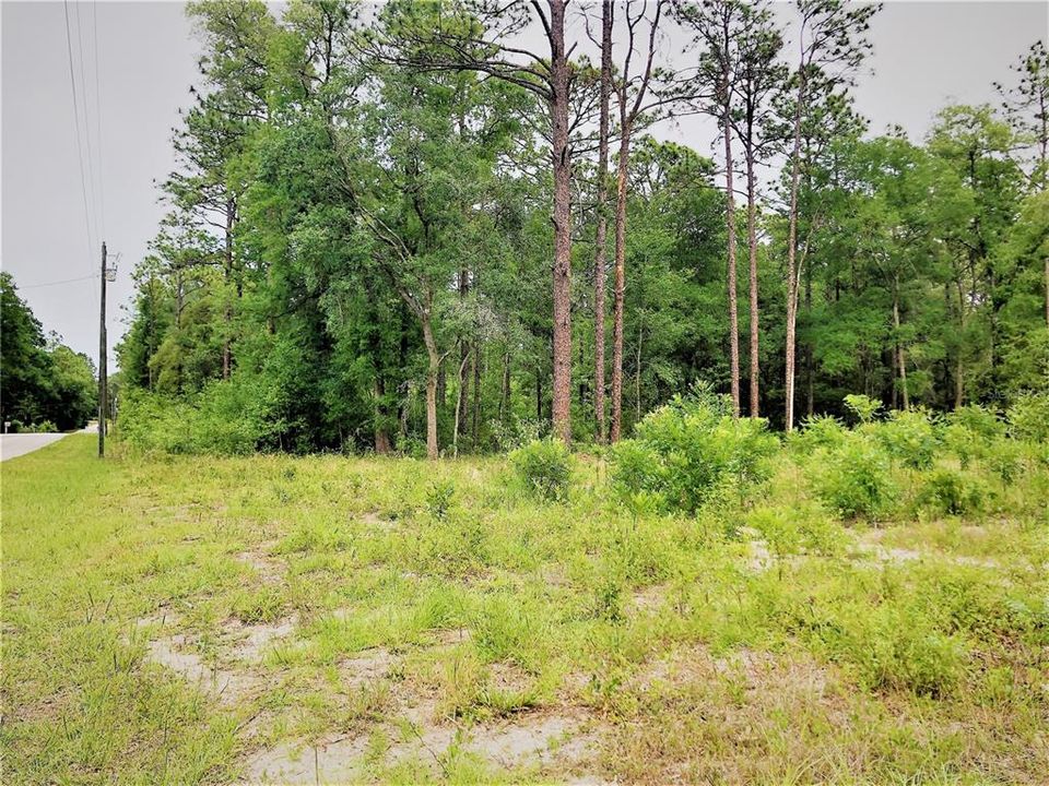 Recently Sold: $29,900 (0.91 acres)