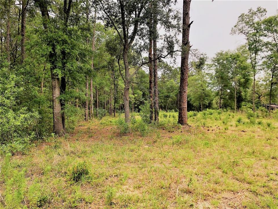 Vendido Recientemente: $29,900 (0.91 acres)