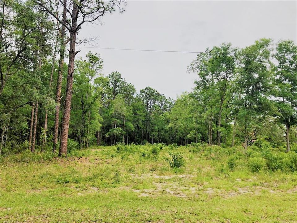 Recently Sold: $29,900 (0.91 acres)