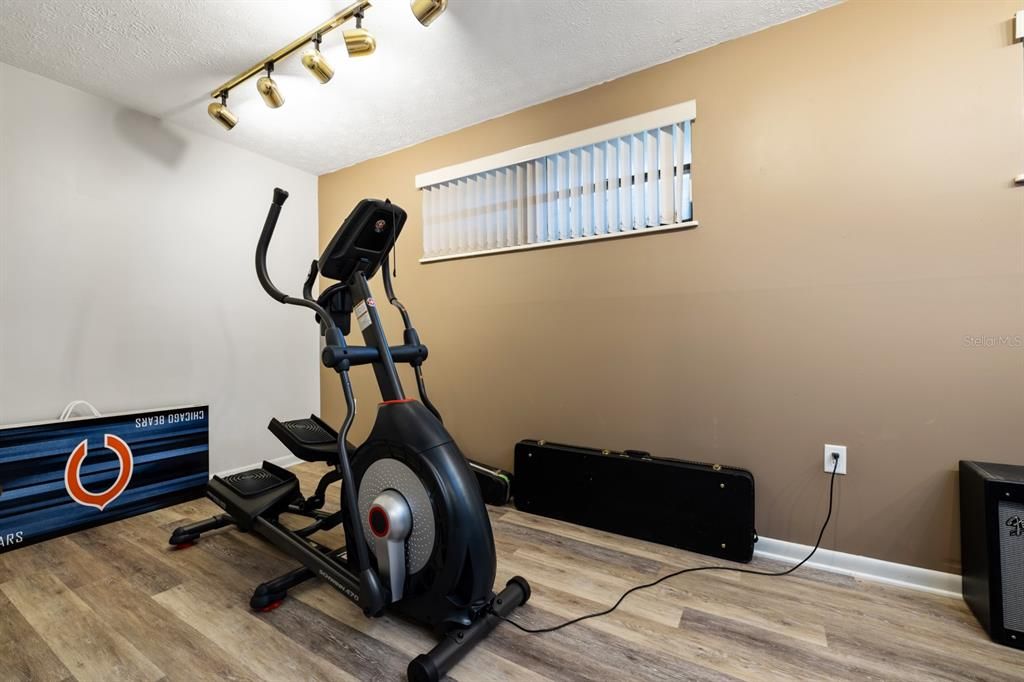 Downstairs Finished Basement Workout space