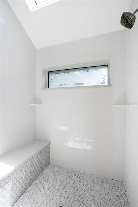 Walk-in shower with skylight