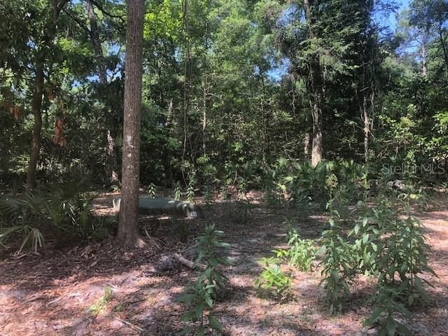 Recently Sold: $64,900 (0.46 acres)
