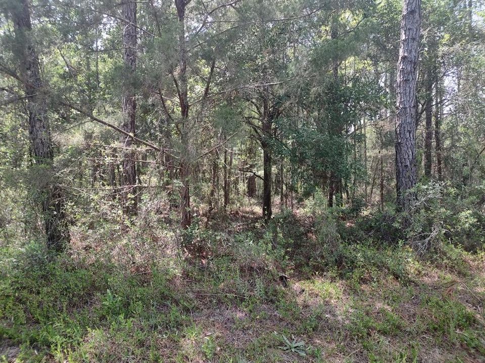 Recently Sold: $26,000 (0.87 acres)