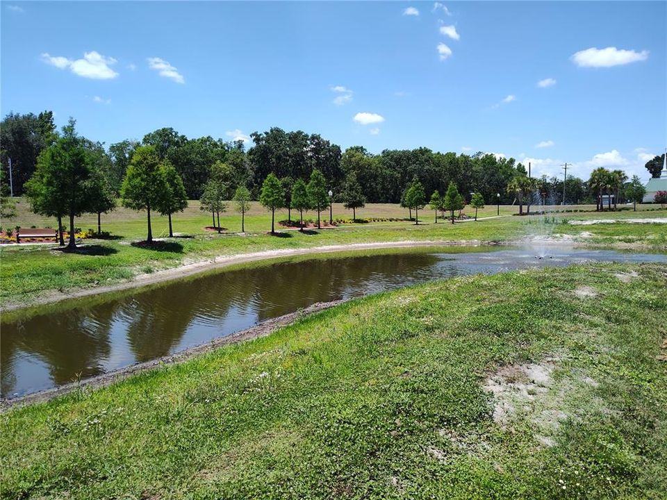 Peace River Park