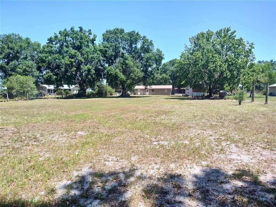 Large backyard