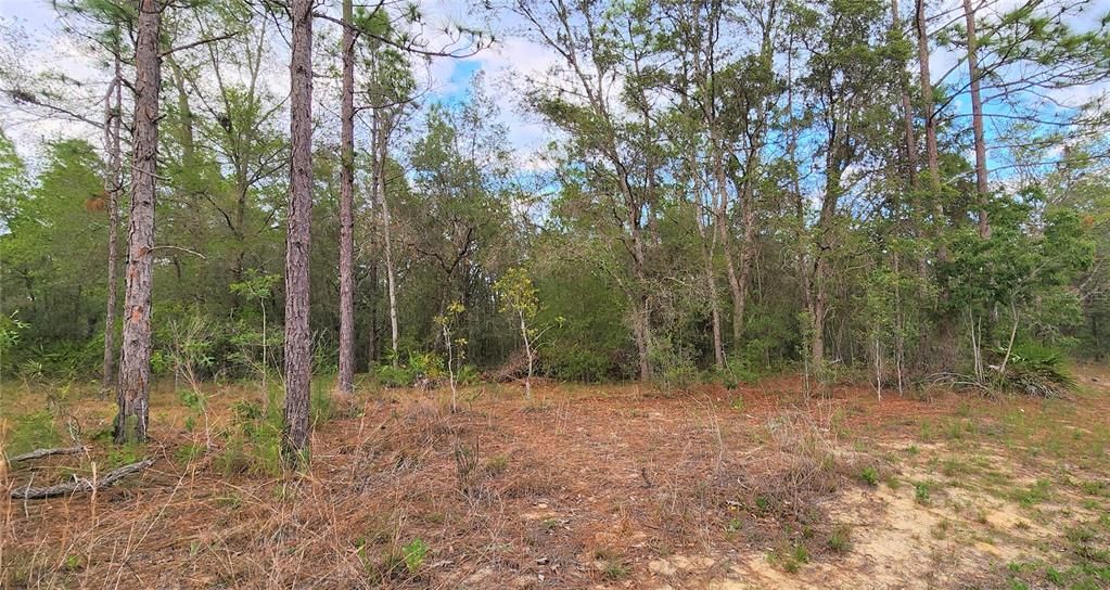 Recently Sold: $41,000 (0.50 acres)