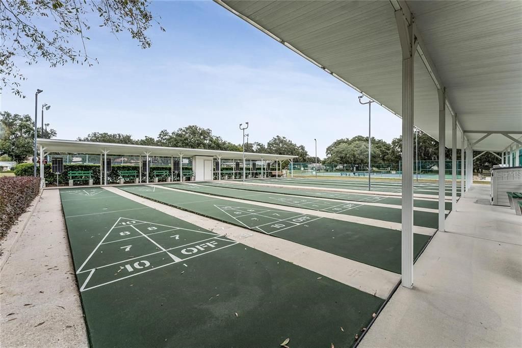 Community Shuffleboard