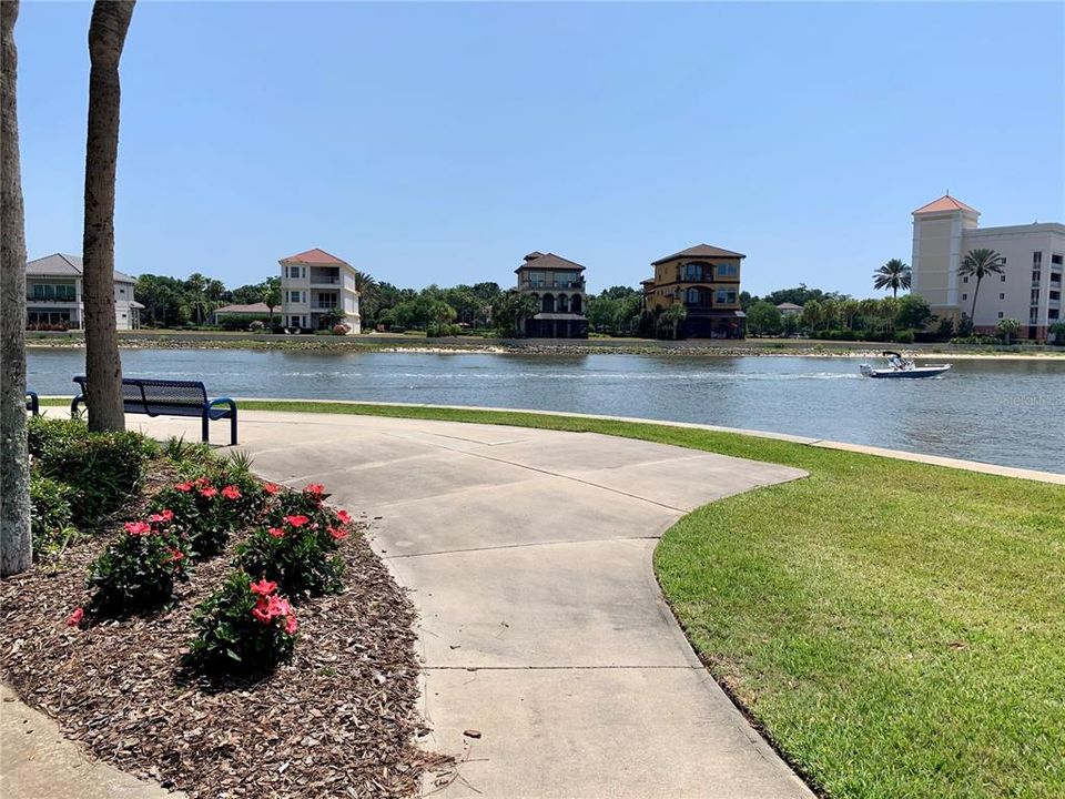 Incredible views of the Intracoastal from Marina Cove.
