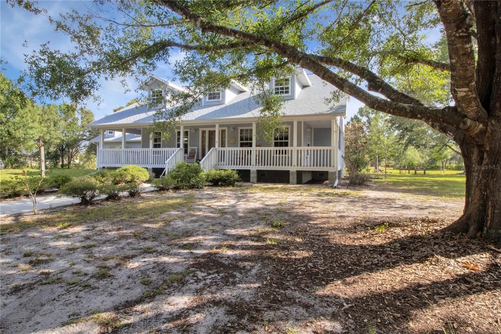 Beautiful oaks...natural landscaping