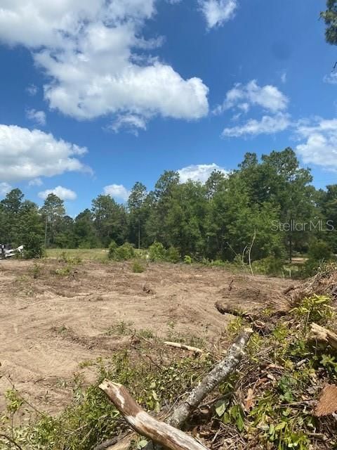 Recently Sold: $17,900 (1.25 acres)