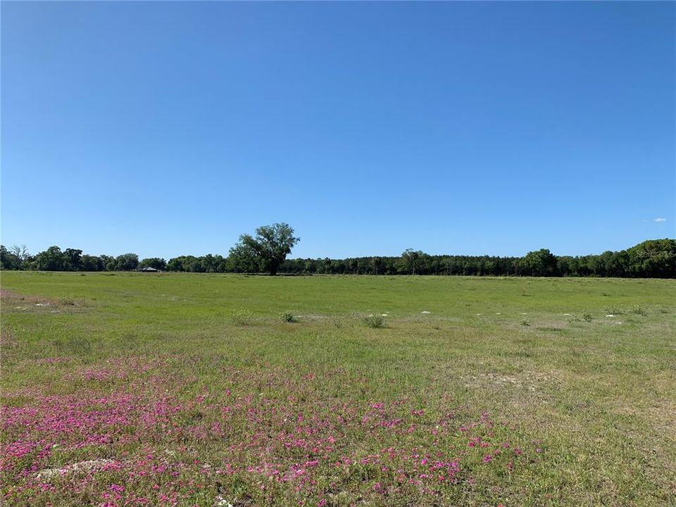 Recently Sold: $185,000 (20.24 acres)