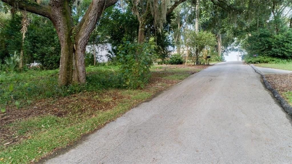 A serene road leads to the property