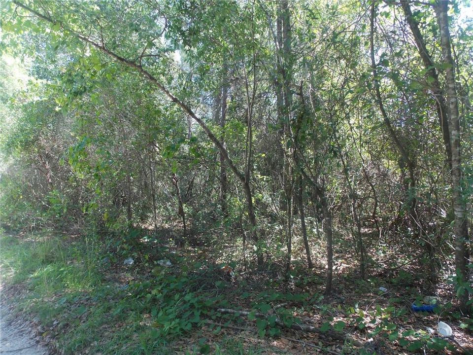 En Venta: $20,000 (0.49 acres)