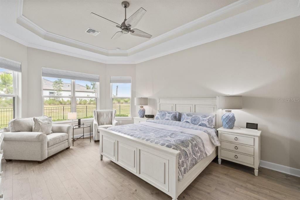 Owners suite featuring extended bay windows, wood-look laminate flooring, 11' tray ceilings