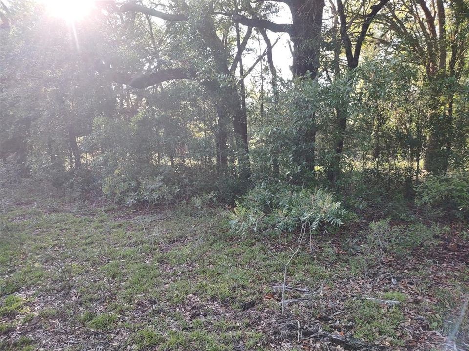 Recently Sold: $20,800 (1.25 acres)