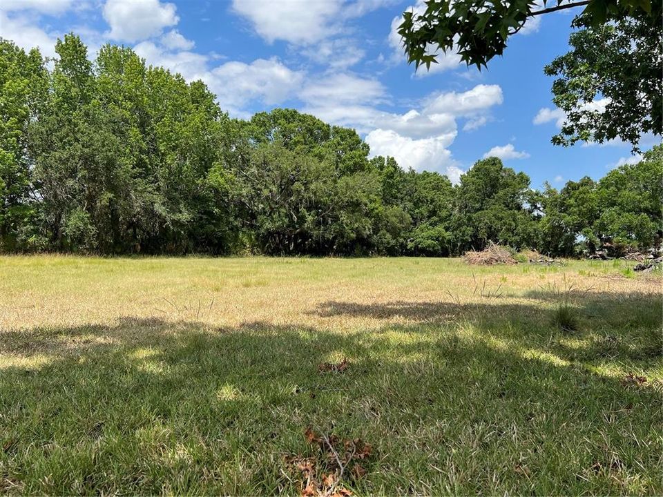 Recently Sold: $136,000 (1.36 acres)