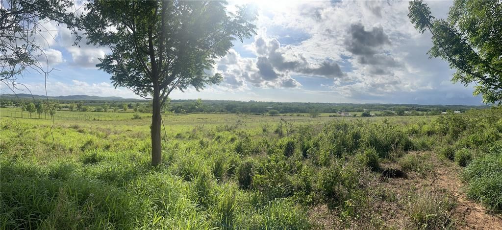 Недавно продано: $539,000 (10.40 acres)