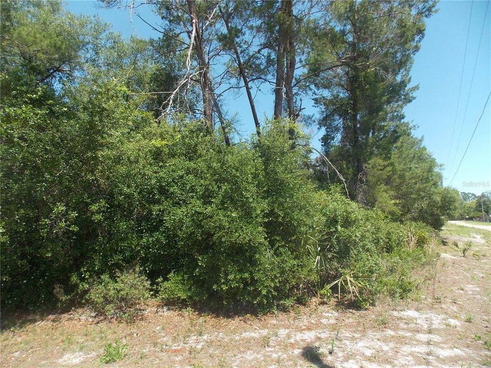 For Sale: $19,000 (0.37 acres)