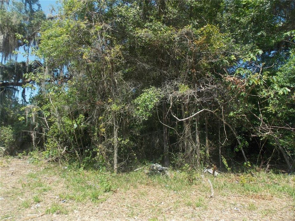 Active With Contract: $30,000 (0.33 acres)