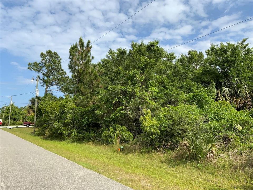 Street View of 48 Ulysses Trail, Palm Coast