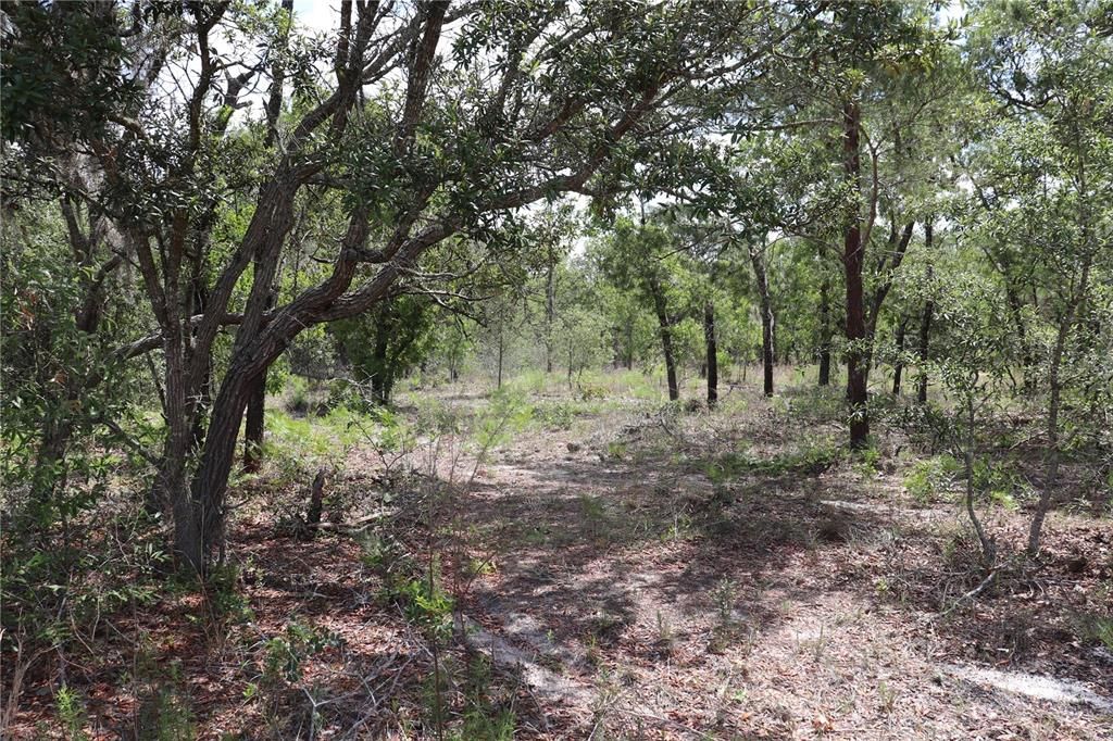 Recently Sold: $210,000 (10.15 acres)