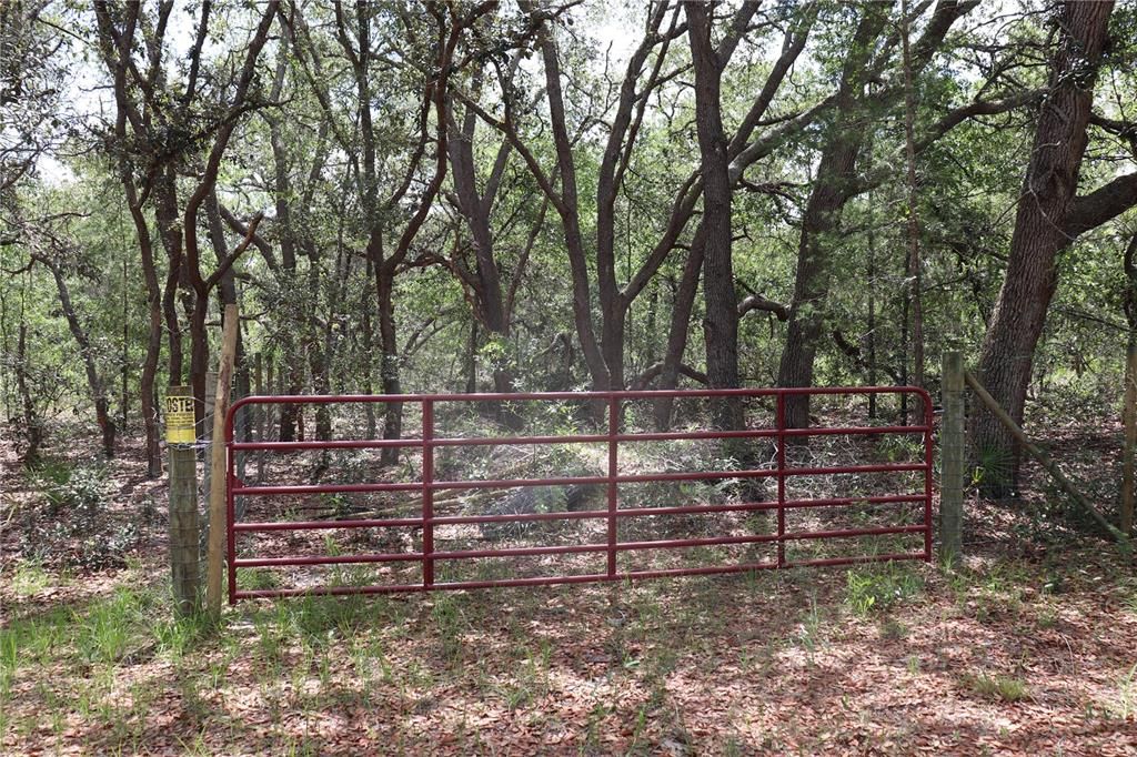 GATE AT END OF 10 ACRE PROPERTY