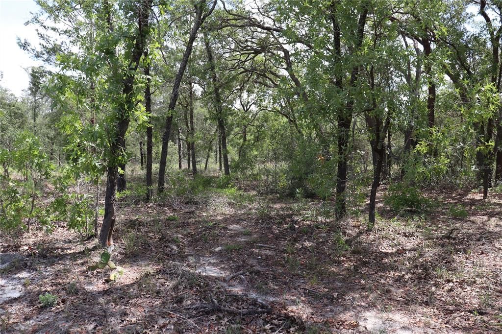 Recently Sold: $210,000 (10.15 acres)