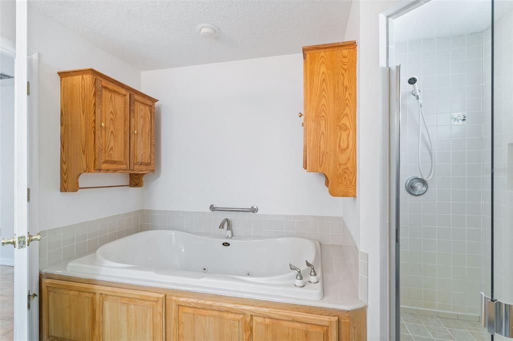 Master Bathroom with Jacuzzi bathtub and stand up shower