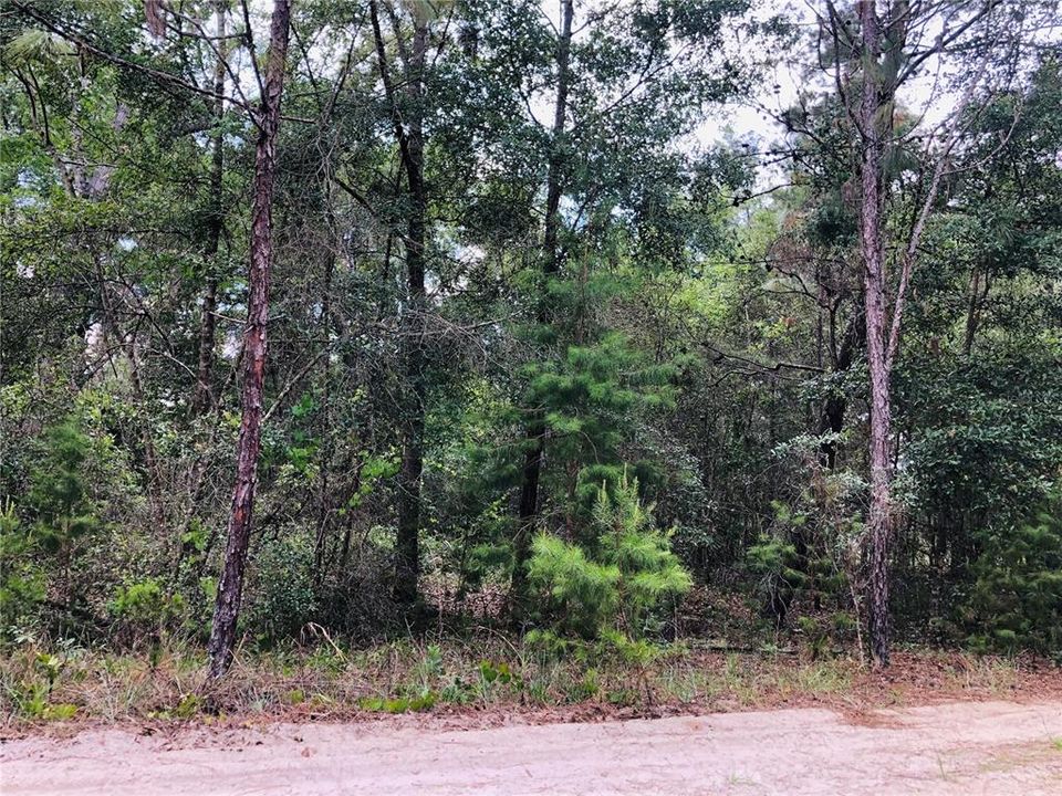 Recently Sold: $11,000 (0.23 acres)