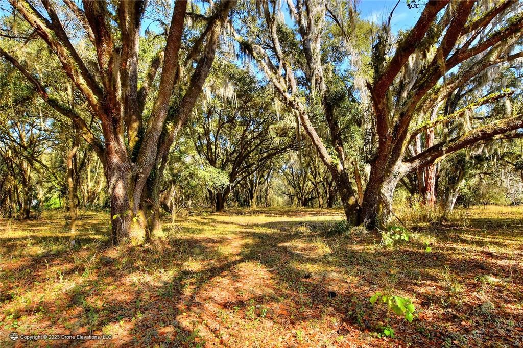 Active With Contract: $2,500,000 (68.32 acres)