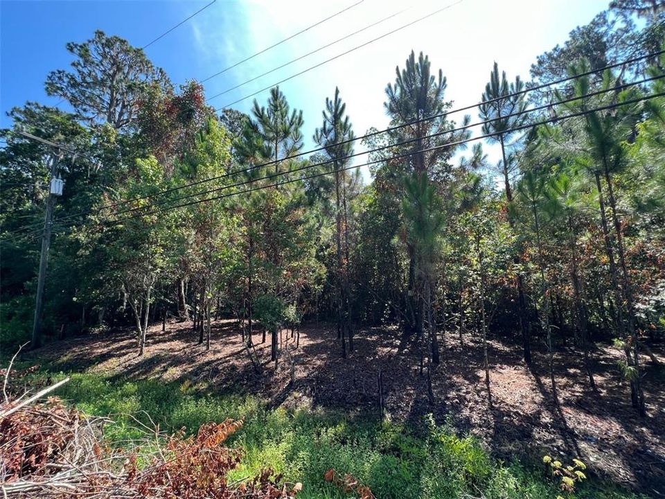 Recently Sold: $135,000 (0.23 acres)