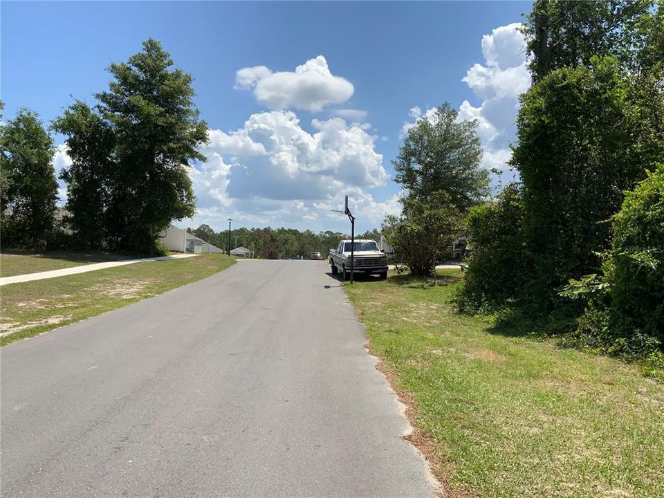 View Towards New D R Horton Community - Treed Lot on Right