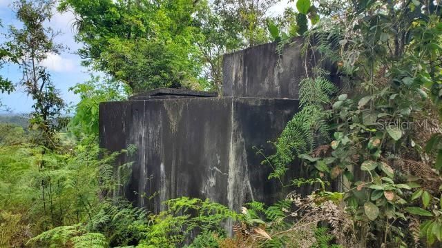 For Sale: $400,000 (37.00 acres)